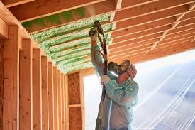 Eco-Friendly or Green Insulation Solutions in Meadows Place, TX